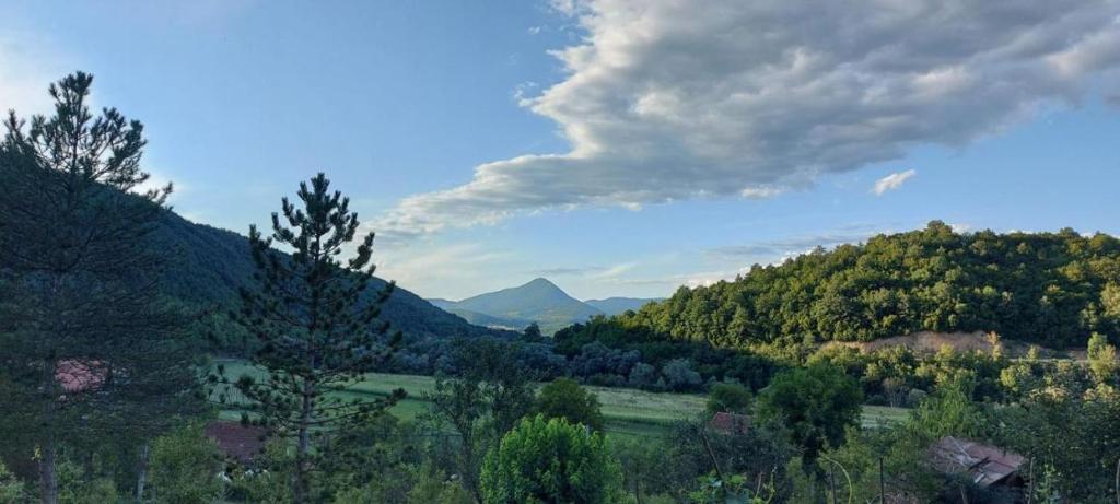 库伦瓦库夫Oaza Deli的享有树木和山脉的山谷美景