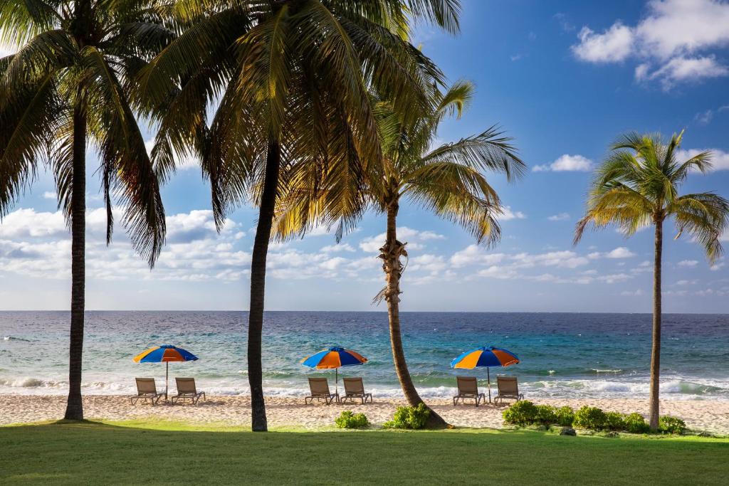 North StarCarambola Beach Resort St. Croix, US Virgin Islands的海滩上的一组椅子和遮阳伞