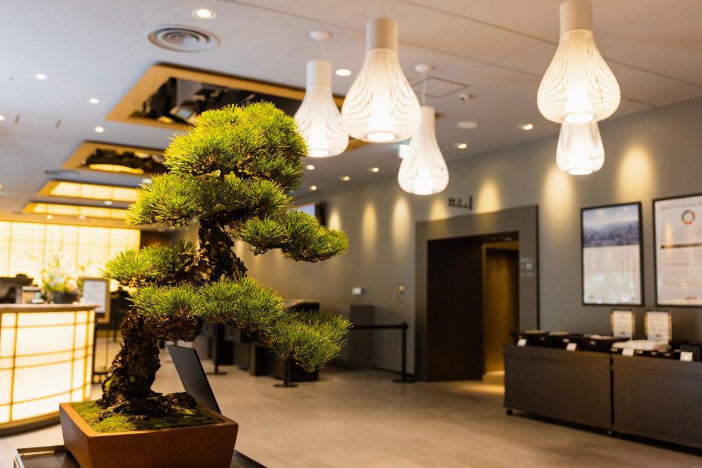 东京新宿华盛顿酒店的灯火通明的房间中间的盆景树