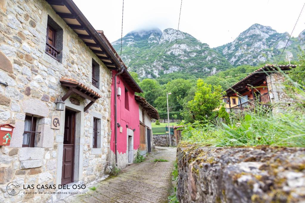 La Seronda de Villaorille - Las Casas del Oso的一条鹅卵石街道,在山脚下的村庄
