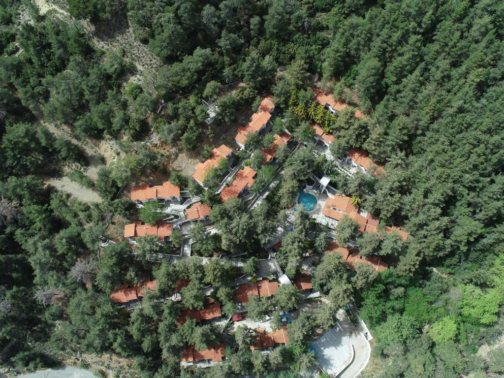 普拉特斯POED Residences的树林中房屋的空中景观