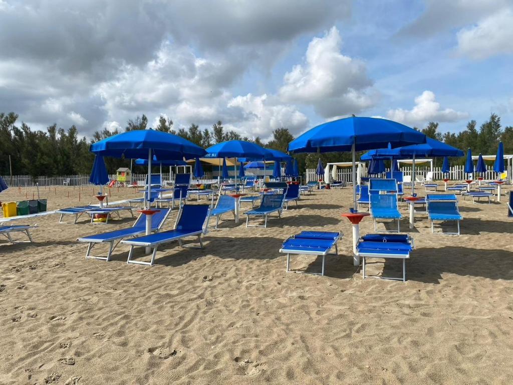 玛里纳蒂蒙内罗Maronda Camping的沙滩上一束蓝色的椅子和遮阳伞