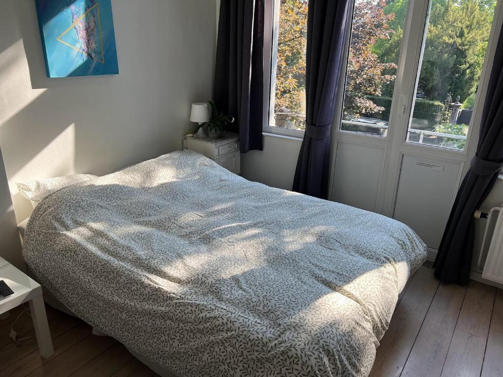 韦尔维耶Studio confort Verviers的一间卧室配有一张床铺,床上有毯子