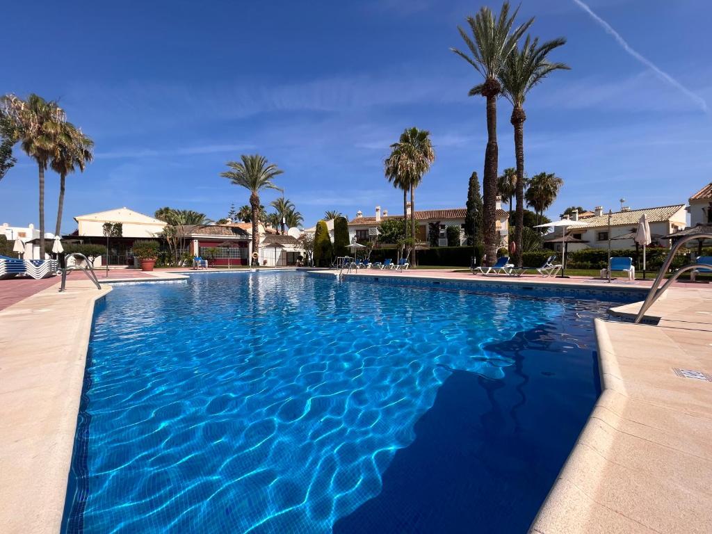 维拉Sol de Vera Costa的一个种有棕榈树的大型蓝色游泳池