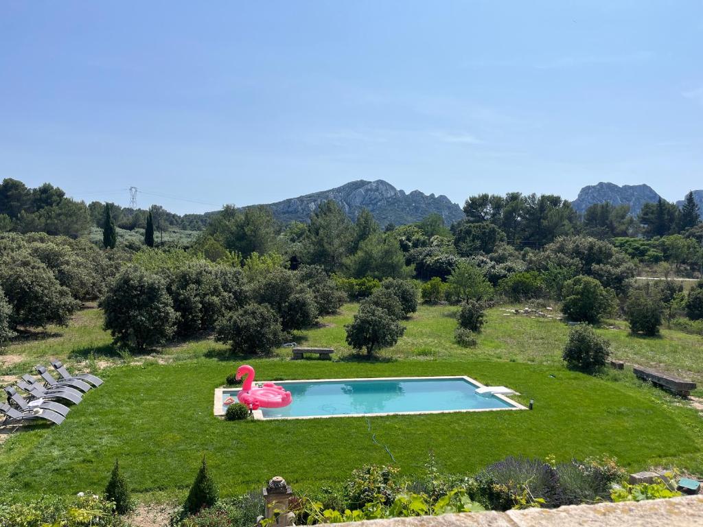 埃加利埃Chambre d'hôte au cœur de la Provence Eygalieres的草地中央的游泳池