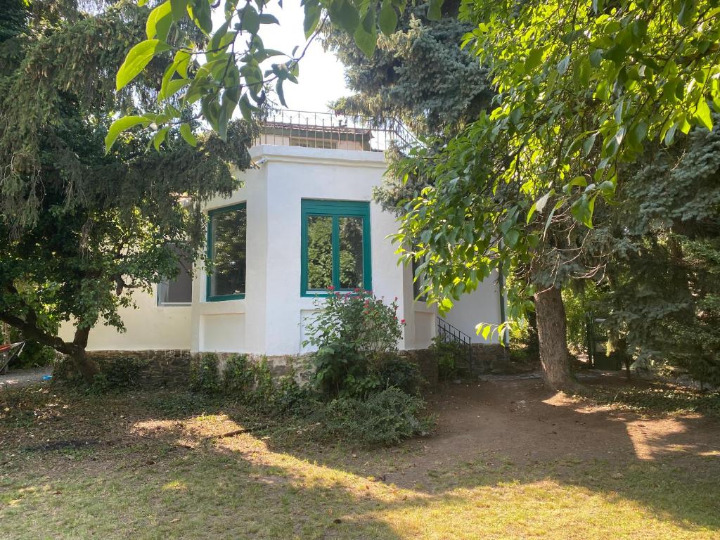 包道乔尼托毛伊Villa Délibáb的白色的房子,有蓝色的窗户和树木