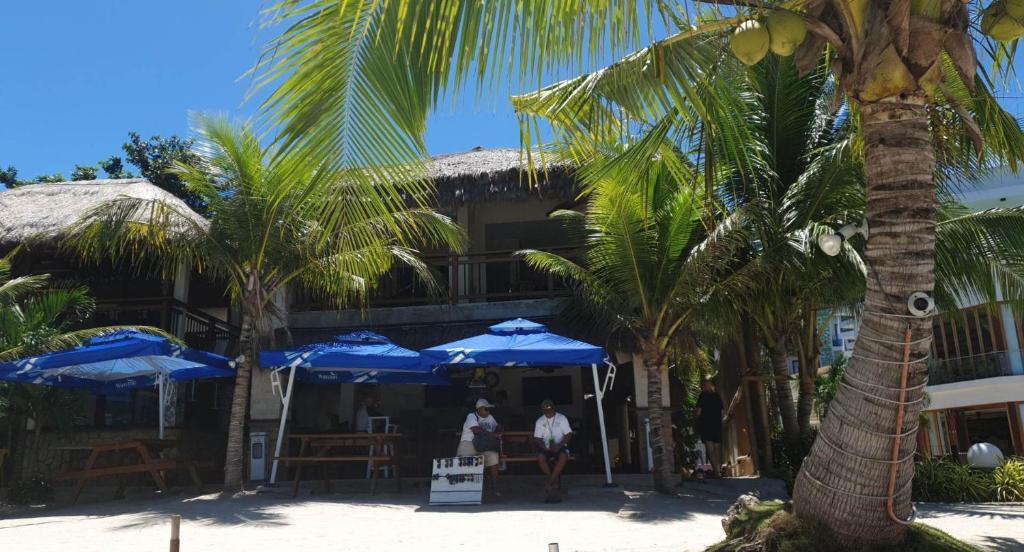 邦劳birdwatchers beachfront hotel panglao的棕榈树和遮阳伞的海滩酒店