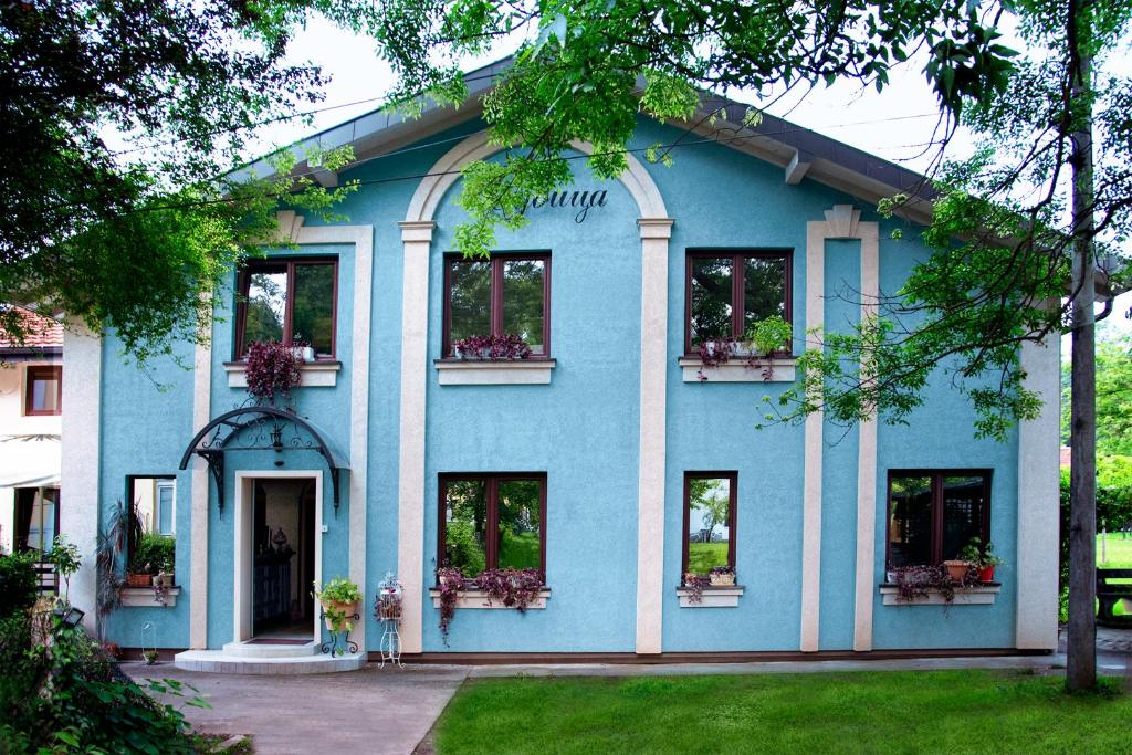 弗尔尼亚奇卡矿泉镇Vila Ljubica的蓝色的建筑,设有窗户和盆栽植物
