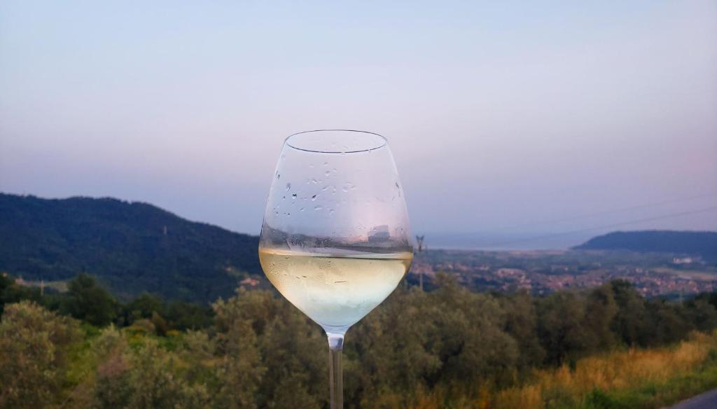 福斯迪诺沃Vinomare Guesthouse的坐在山顶上喝一杯白葡萄酒
