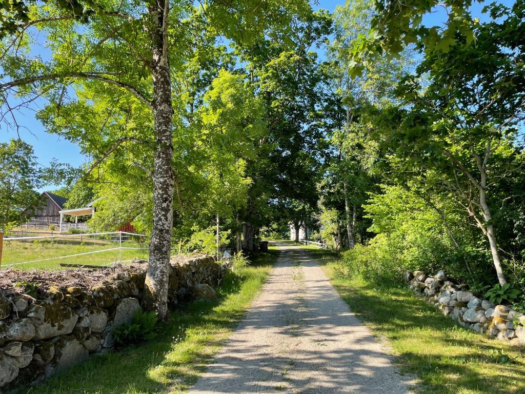 TingsrydCottage with beautiful nature, open landscape, forest and lakes I X I Stuga med fin natur, öppna landskap, skog och sjöar的一条有树木和石墙的土路