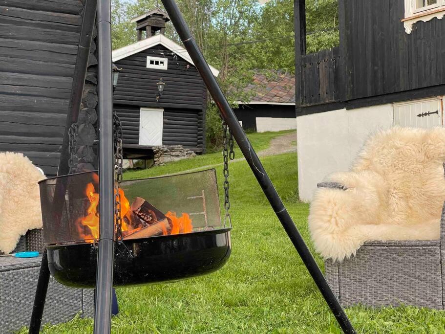 Stabburet på Gaarder / wifi og sauna的院子里的火烤架,旁边放着一只狗