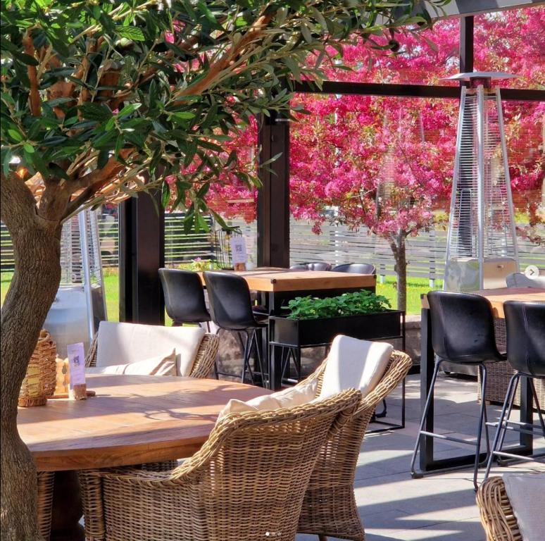 谢莱夫特奥Aurum Hotel的餐厅的一张桌子和椅子,花粉色
