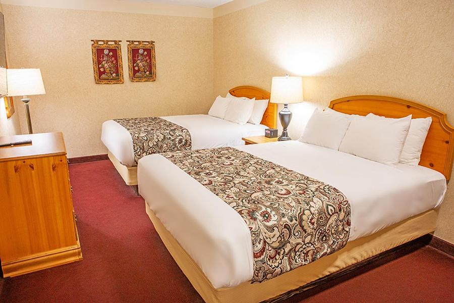 弗兰肯默斯巴伐利亚小屋酒店的酒店客房设有两张床和两盏灯。