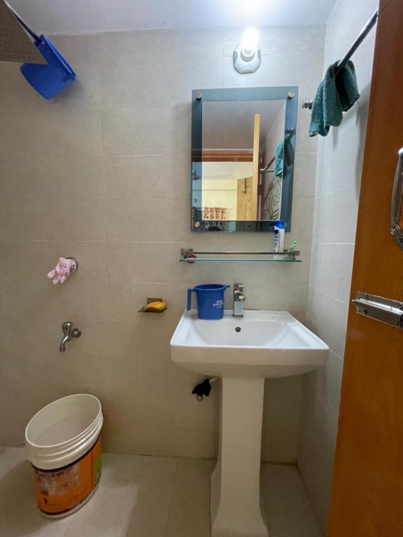 巴纳内拉斯Shibgonj Bed and Breakfast的一间带水槽、卫生间和镜子的浴室