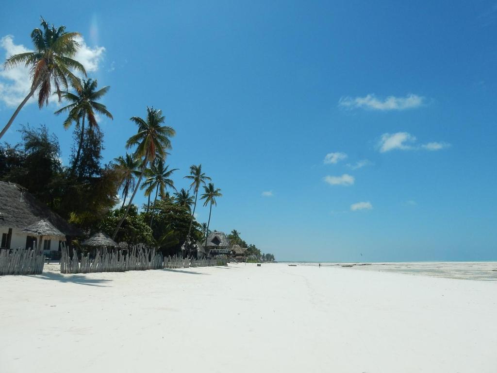 吉汶瓦The Kichwa House的棕榈树和海洋的白色沙滩