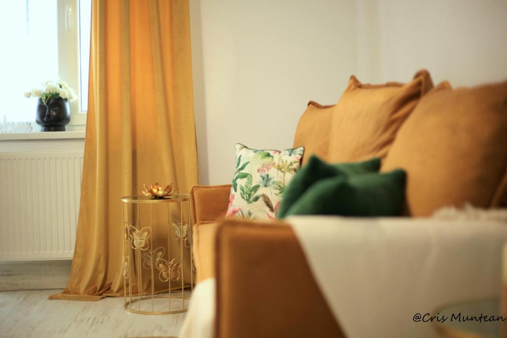 阿尔巴尤利亚ULO Residence的带沙发和窗户的客厅