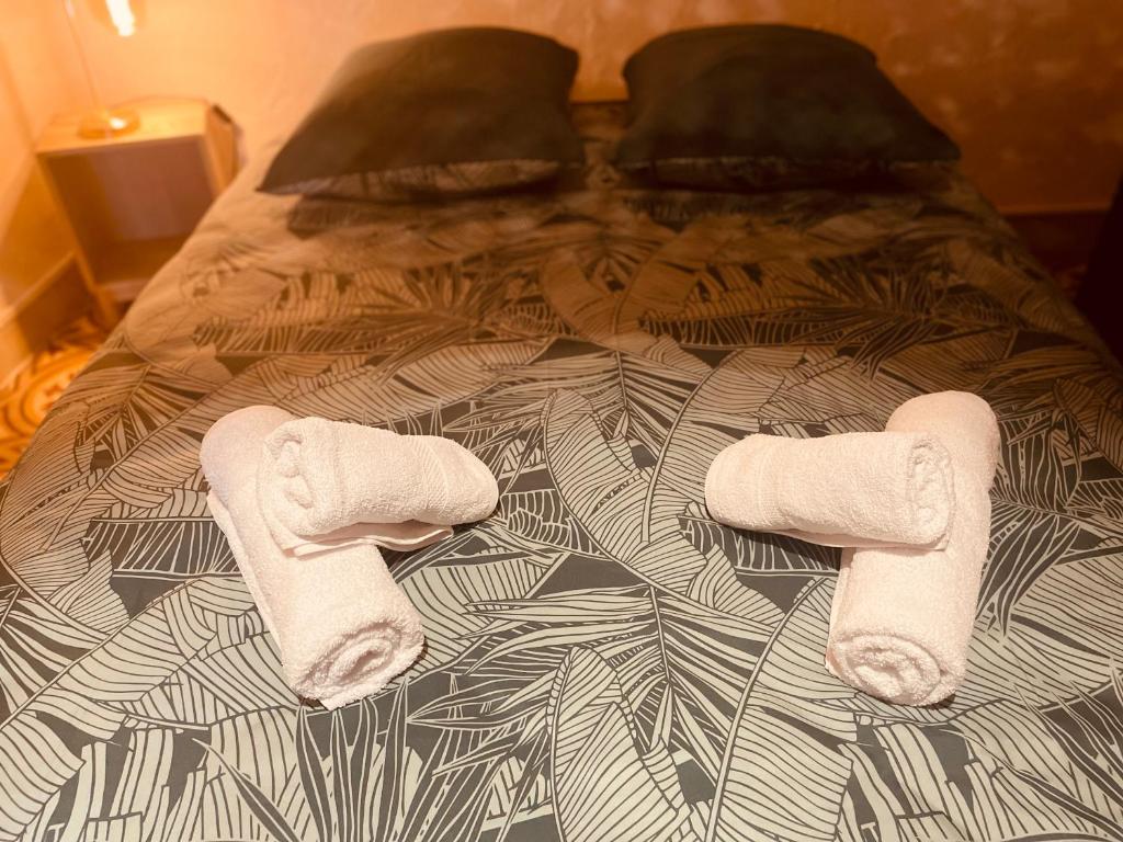 阿格德Cocon douillet à Agde的床上有两条毛巾