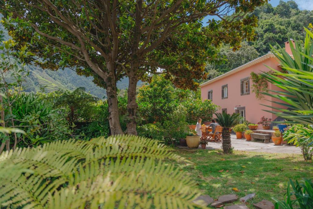 圣维森特Madeira Surf Lodge的一座花园,花园内有粉红色的房子和一棵树