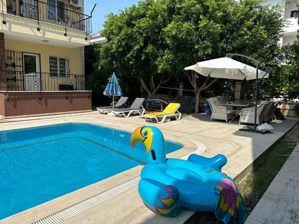 锡德Villa Marla的游泳池旁的蓝色橡皮玩具