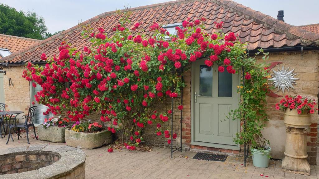 林肯Cosy Studio Cottage的有一束红花的房子