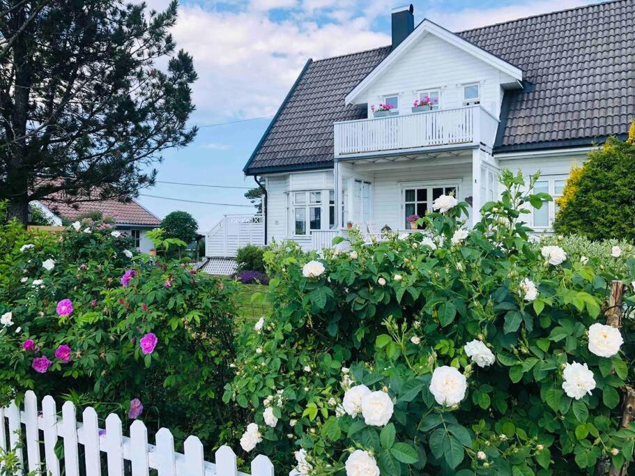 哈尔登Lenes hus的白色的房子,有白色的围栏和鲜花