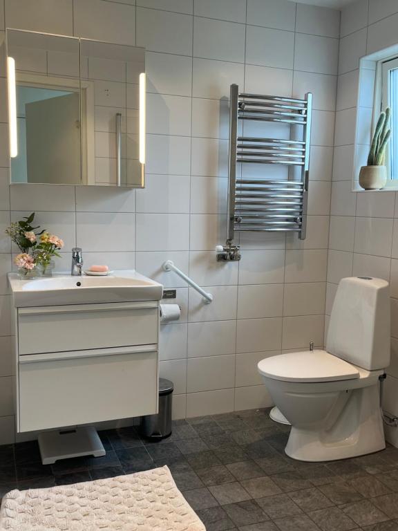 哥德堡Villa nära till natur och stan的一间带卫生间、水槽和镜子的浴室