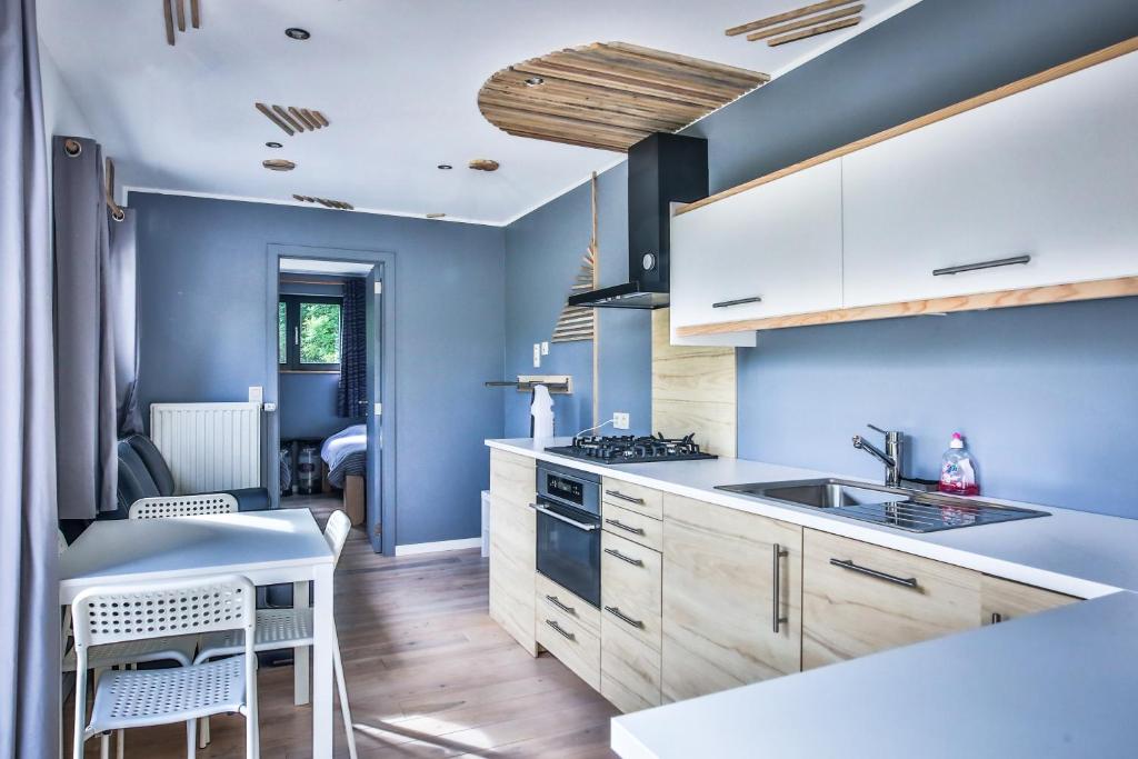BandeTinyhouses - Domain "La vallée des Prés"的厨房设有蓝色的墙壁和木制橱柜。