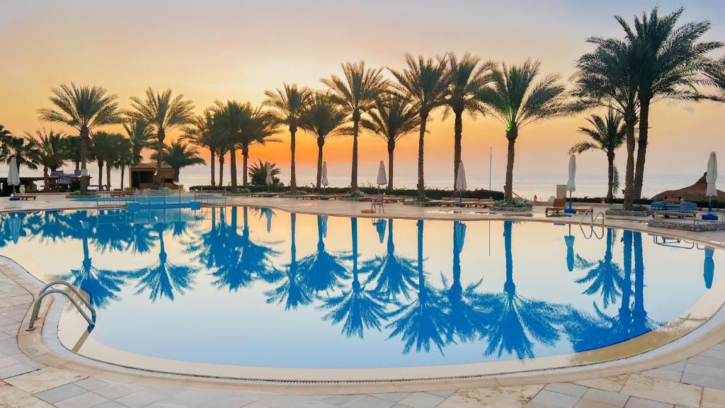 沙姆沙伊赫Sharm Club Beach Resort的棕榈树泳池和日落背景