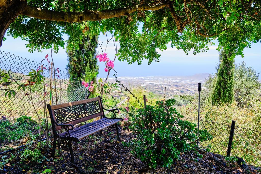 圣克鲁斯-德特内里费Tizziri rural的长凳,坐在带鲜花的凉棚下