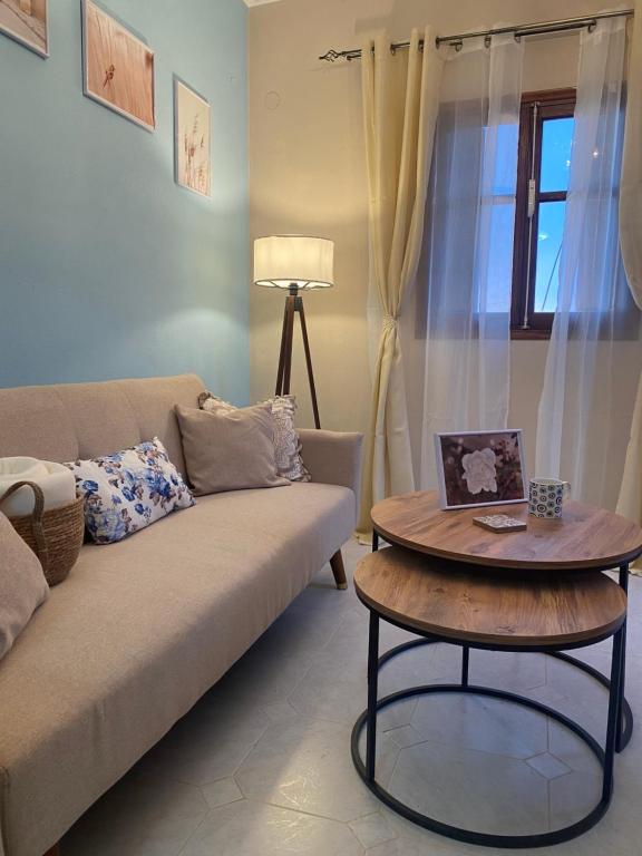 卡尔帕索斯Oxo Kamara Apartment的客厅配有沙发和桌子