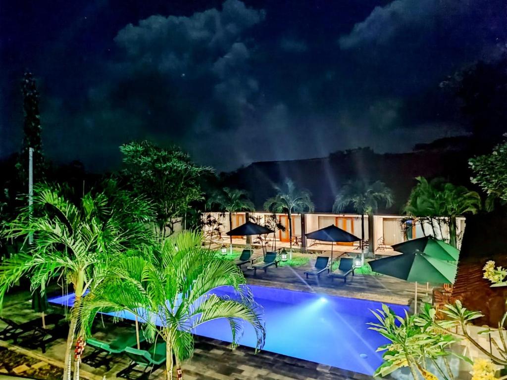 佩母德兰The Bali Menjangan Boutique Villas & Dive Center的夜间带游泳池的度假村