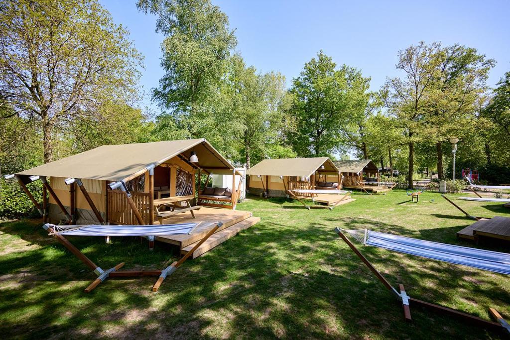 RenswoudeGlamping Renswoude的一群在林地的小屋