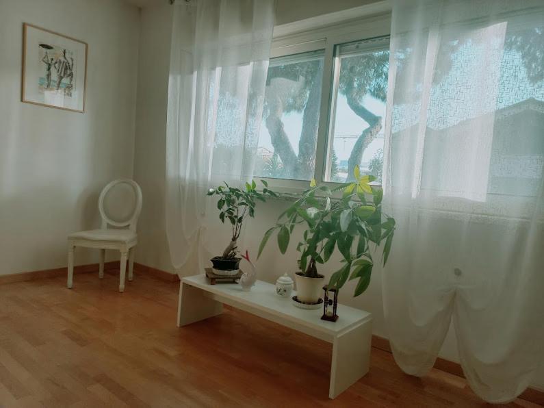 ElmasA un passo da... B&B的一间设有植物窗户和桌子的房间