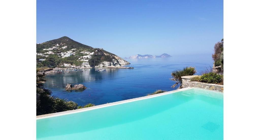 蓬扎Maridea - La Caletta - Luxury Villa的海景游泳池