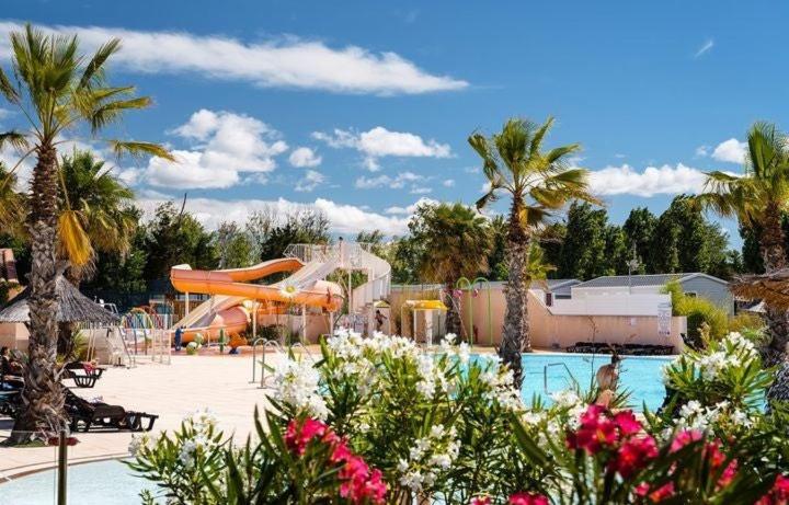 塞里尼昂Mobil home 6/8personnes的一个带滑梯和棕榈树游泳池的度假村
