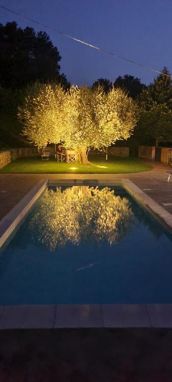 Castel Castagna沉睡的巨人住宿加早餐旅馆的夜间在院子里的游泳池里
