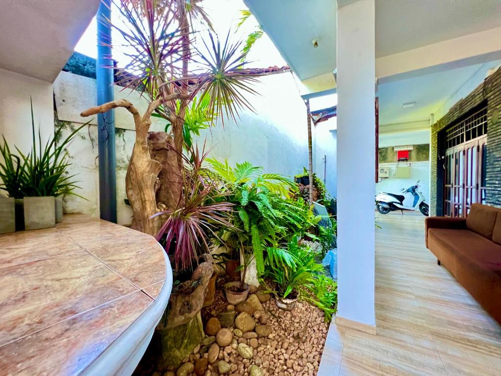尼甘布道尔斯特酒店的一间有植物桌子的房间