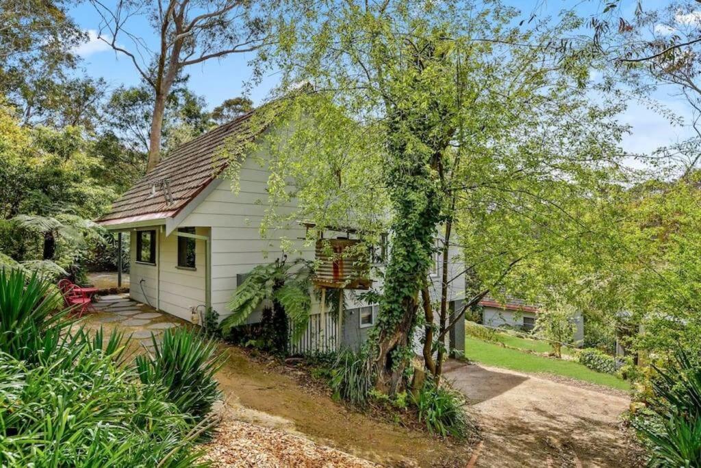 卢拉Banksia Cottage, pretty cottage with garden的一座小白色房子,有一棵树