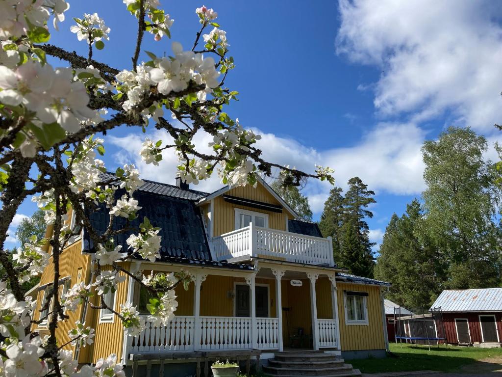 拉达Härlig Heden Vakantiehuis的白色装饰的黄色房子和一棵开花的树