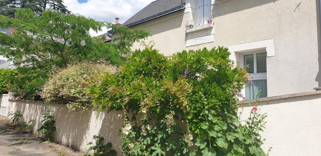武夫赖Au fil de la Loire的建筑物旁的带灌木的栅栏