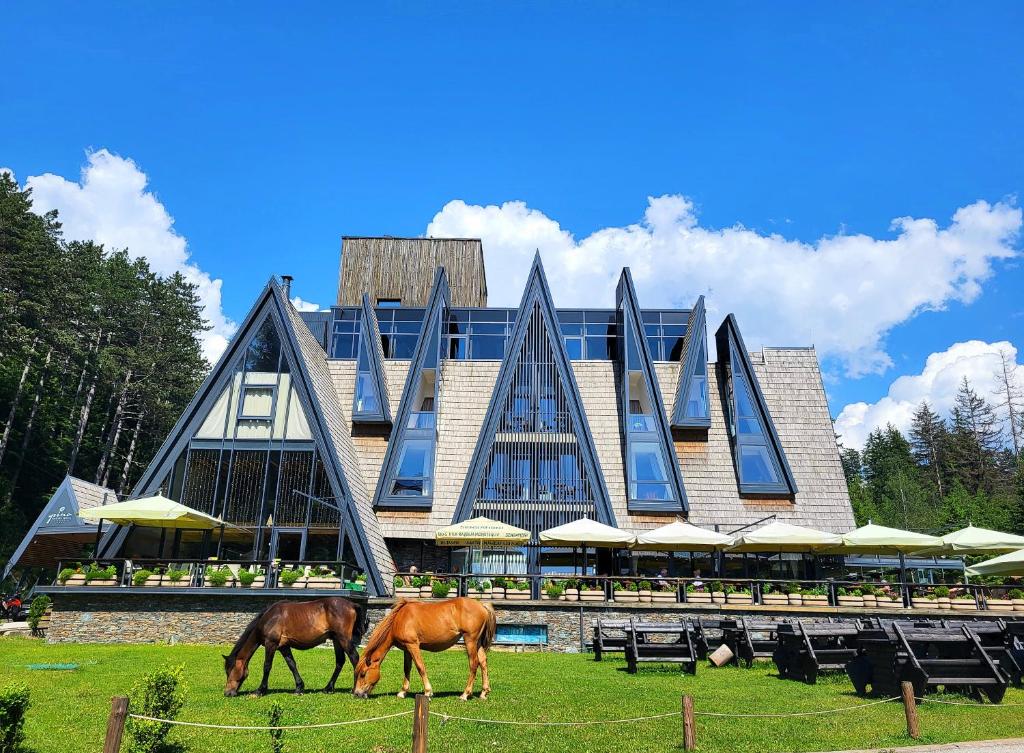 萨拉热窝Pino Nature Hotel, BW Premier Collection的两匹马在楼前的草上放牧