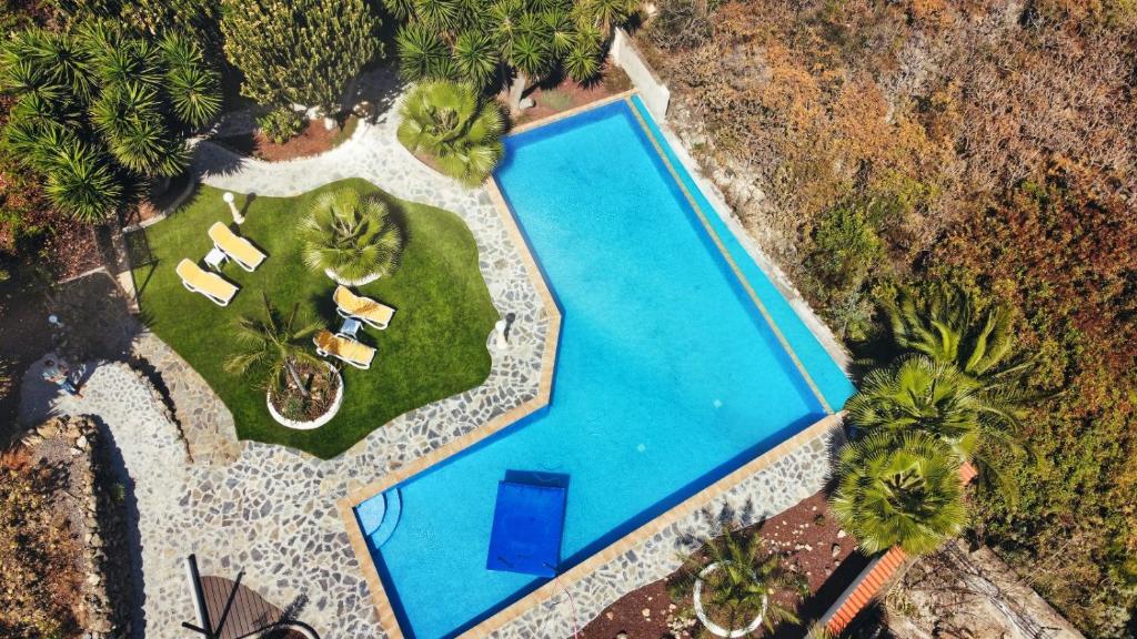 伊科德洛斯维诺斯Finca Vino Tinto 1的享有棕榈树游泳池的顶部景致