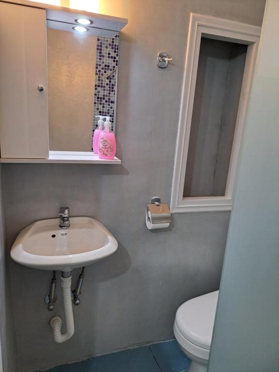波罗斯Giasemi traditional house的一间带水槽、卫生间和镜子的浴室