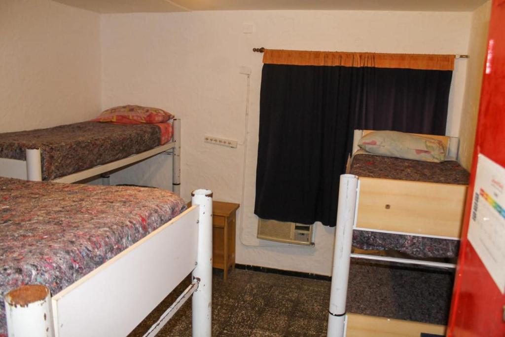 门多萨Hostel Int Mendoza的客房设有两张双层床和一扇窗户。