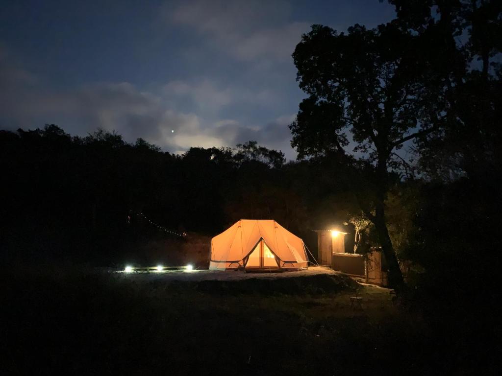 阿尔热祖尔Eco Glamping. Private luxury tent in Alfambras.的夜晚在田野里点燃的帐篷