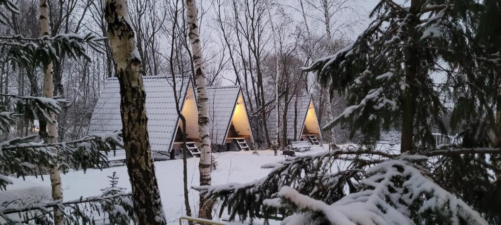 埃莱克特伦艾Vigio Brasta camping的雪中树林中的小屋