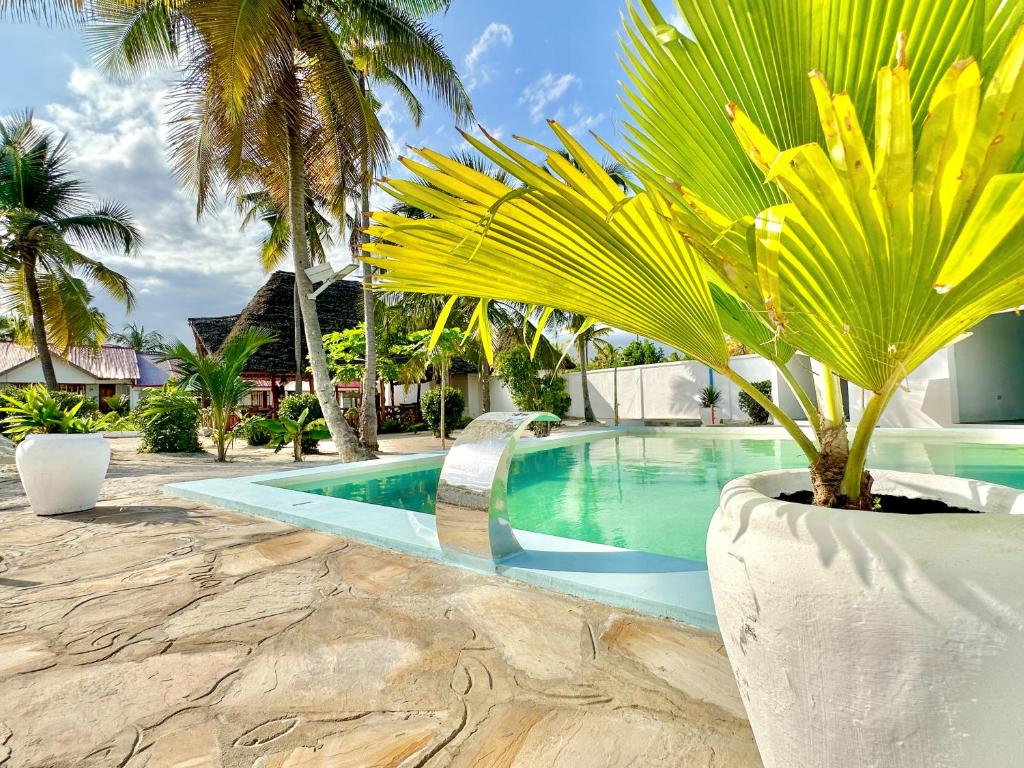 普瓦尼梅查恩加尼TIANDE Boutique Hotel的一座房子旁的游泳池,里面种着棕榈树