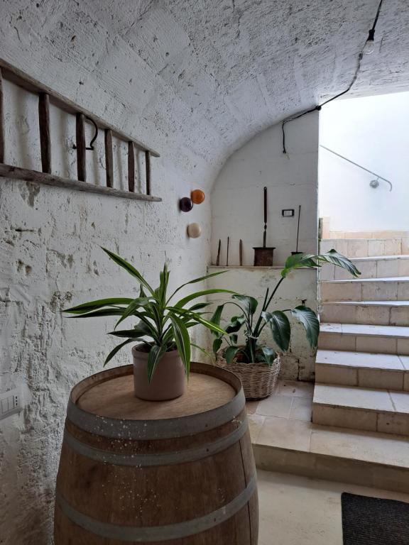 曼杜里亚Civico 2的一间有楼梯的房间和一桶盆栽的桶子