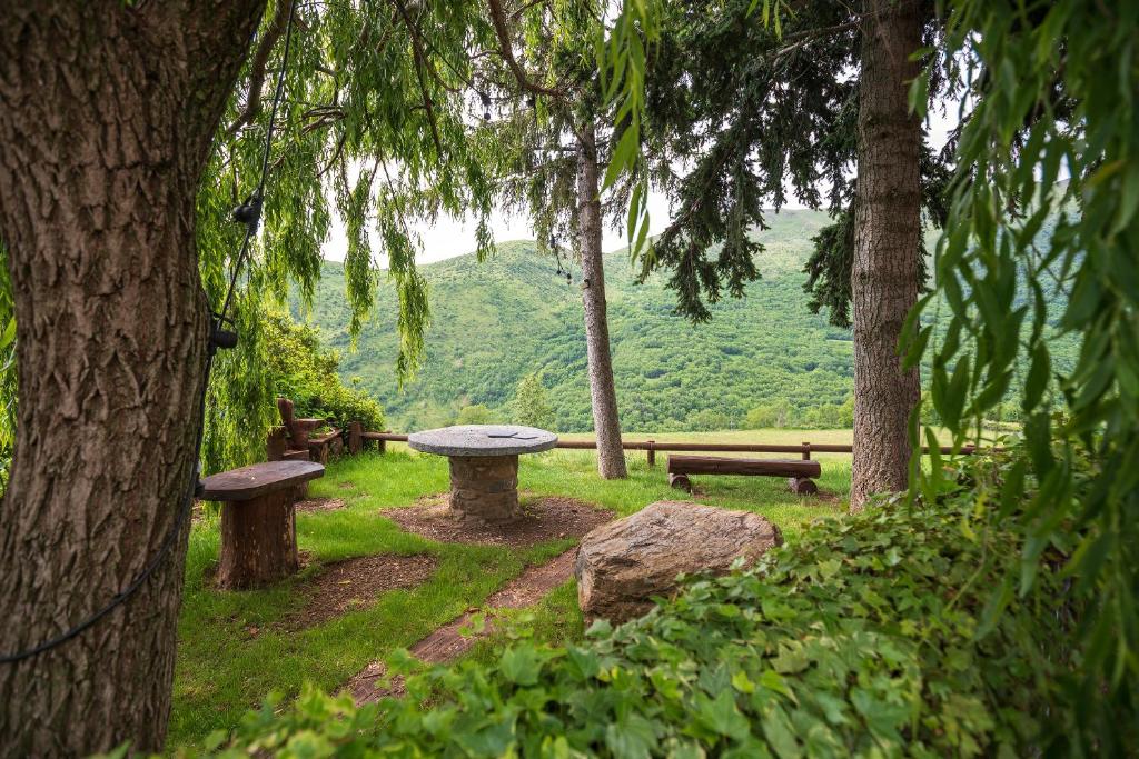 BernúyApartament Rural La Colomina的两张野餐桌和长凳,位于树木繁茂的公园内