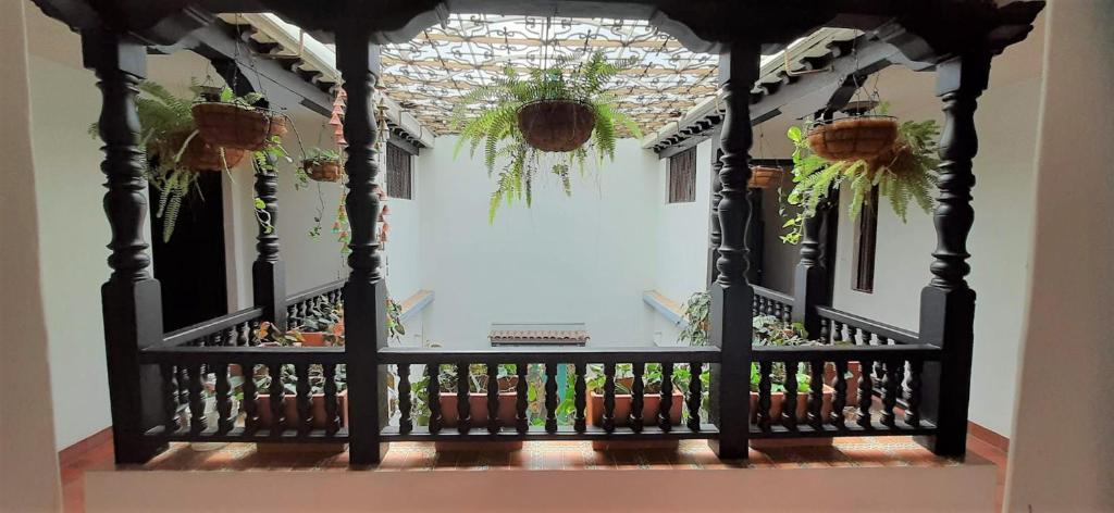 麦德林Villa del Prado的阳台设有门和盆栽植物